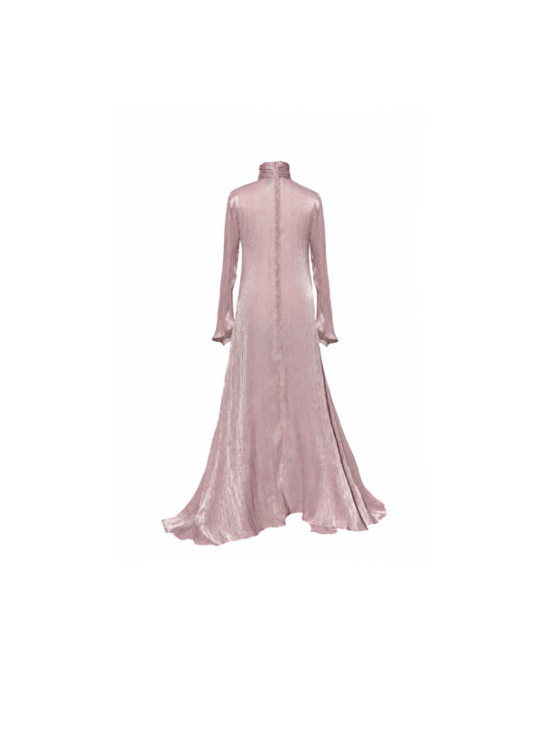 Long Sheer Dress