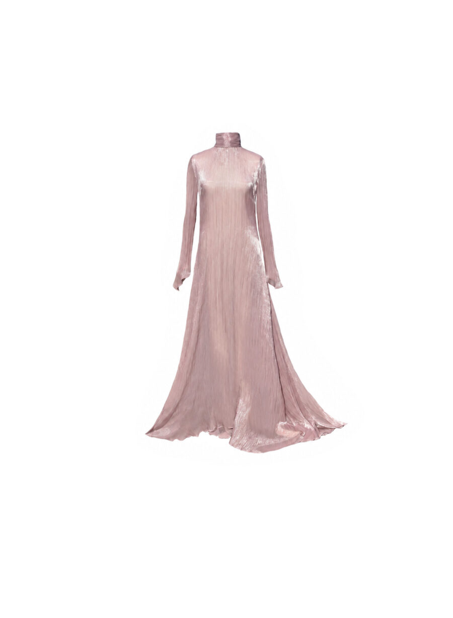 Long Sheer Dress