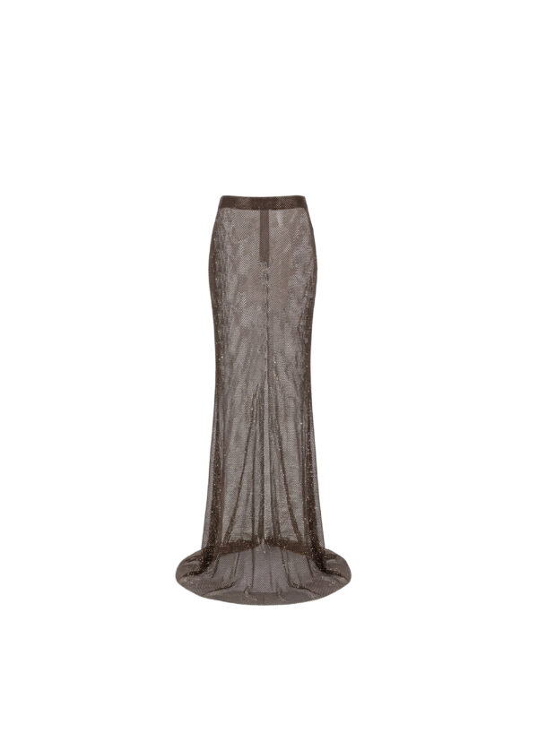 Long Mermaid Sheer Skirt