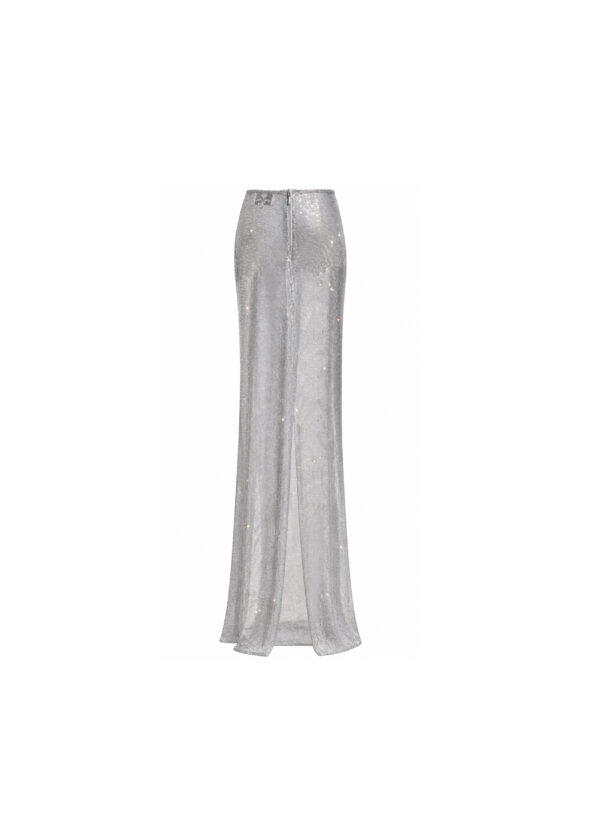 Long Mermaid Sheer Skirt