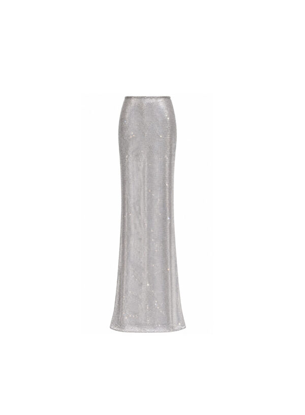 Long Mermaid Sheer Skirt