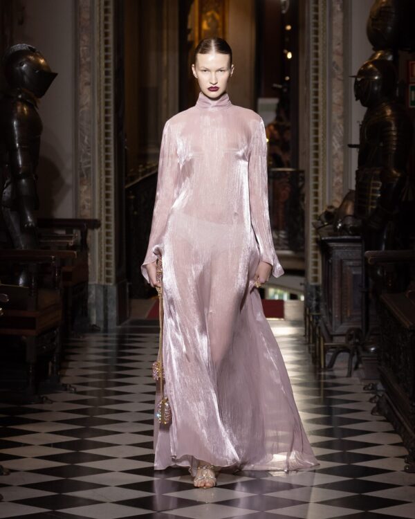 Long Sheer Dress